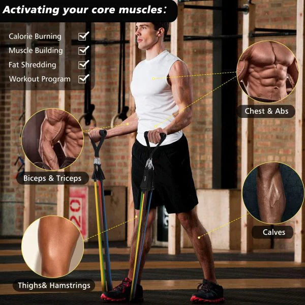 High Quality Portable Resistance Bands With Handles, Resistance Tubes & Workout Bands Exercise Band Elastic Pull Rope 11 Pcs Set